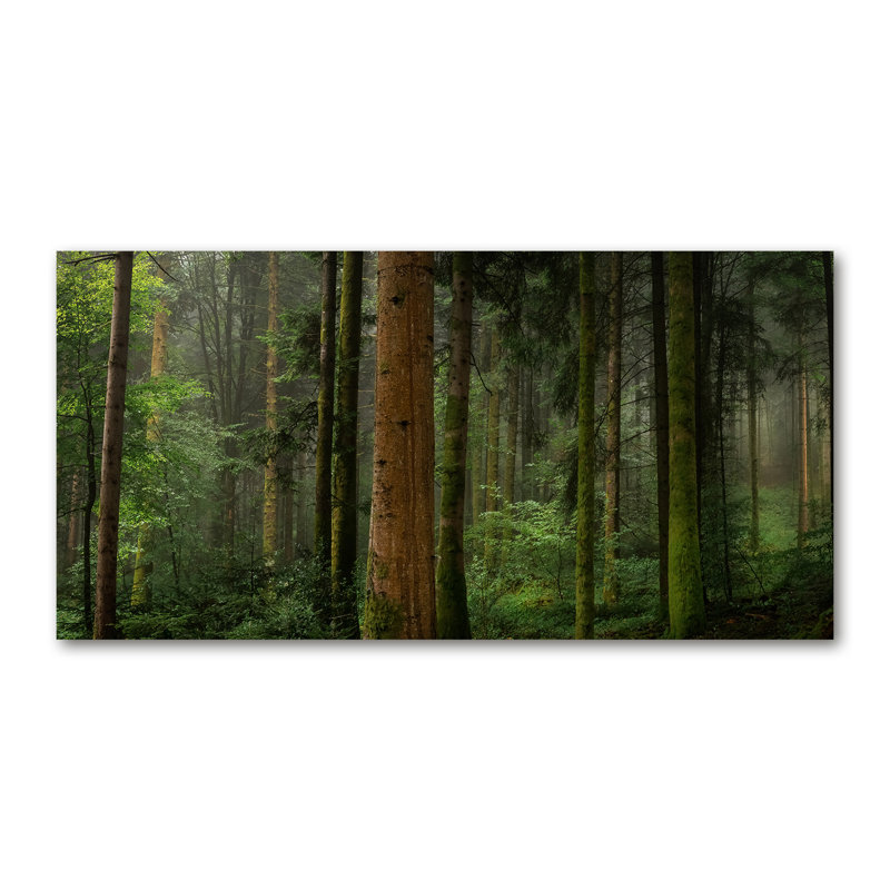 Fog In The Forest - No Frame Print on Canvas, 50cm H X 100cm W