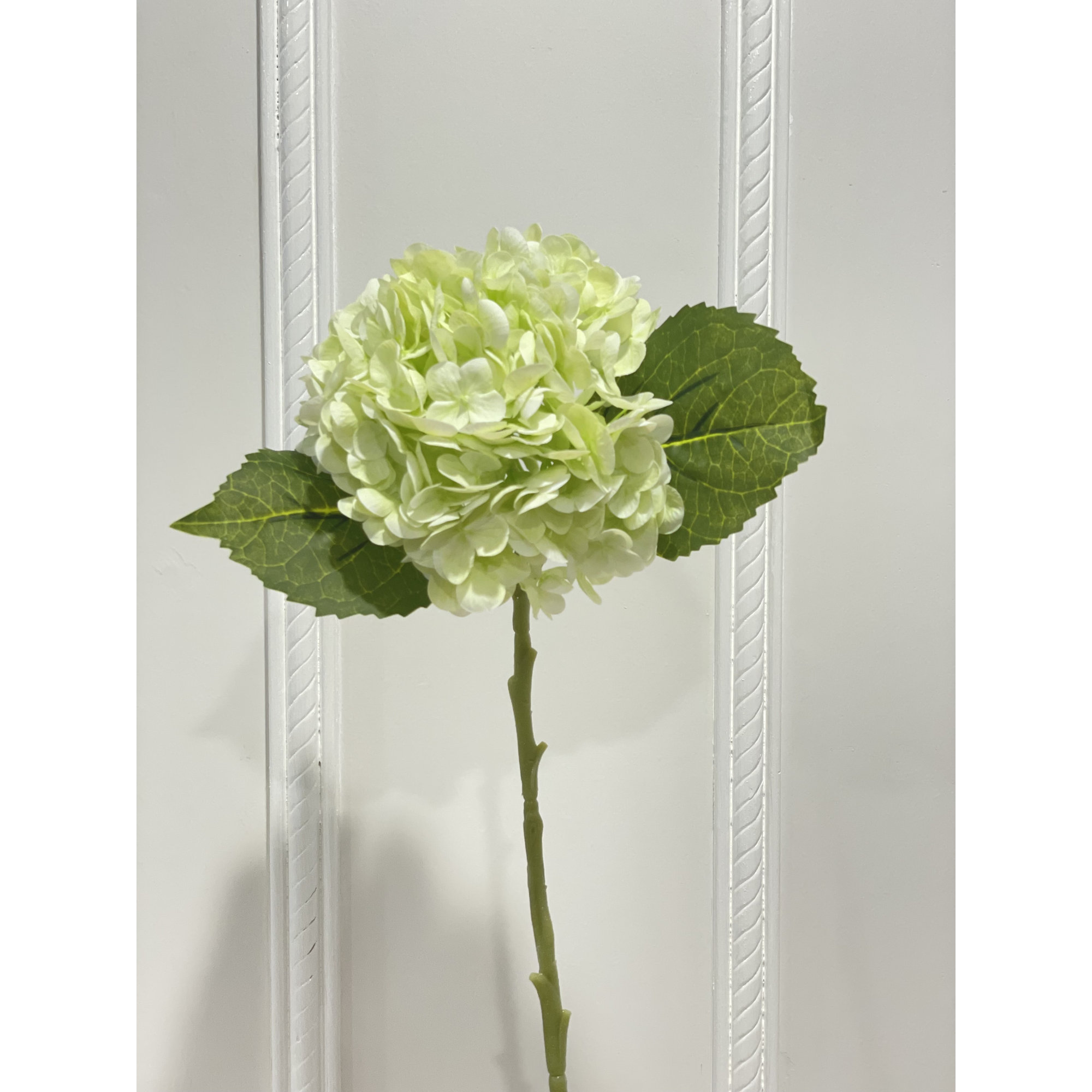 Hydrangea Stem, Light Green