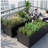 2-Pack 6x3x2 FT Galvanized Metal Raised Garden Beds, Rustproof Colored Steel Planter Boxes for Outdoor Vegetables, Herbs & Flowers