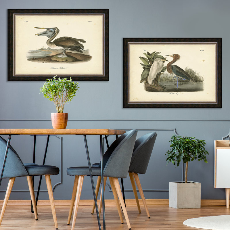 " Audubon " Print