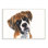 «Eye Boxer Dog Pet Animal Watercolor Painting», impression sur toile