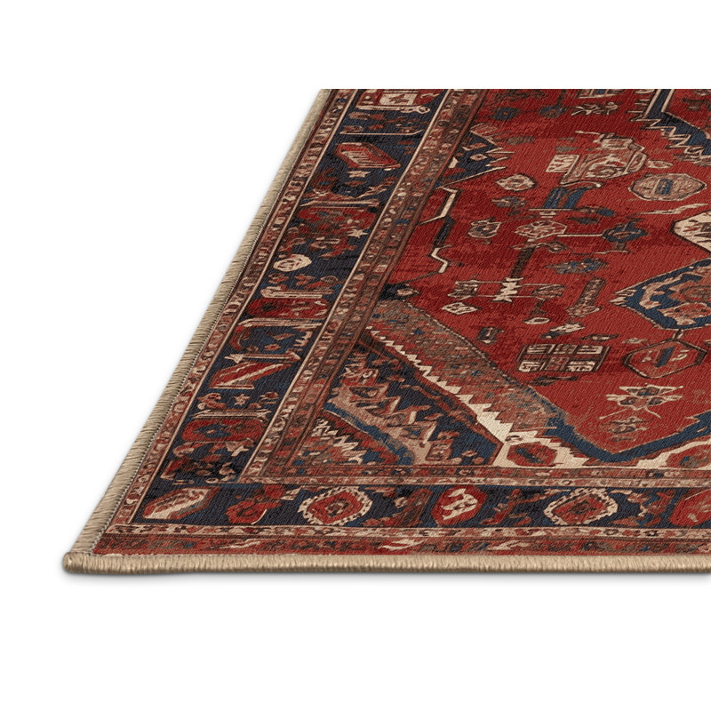 Tapis brun lavable à la machine, Rectangle 4pi x 6 pi