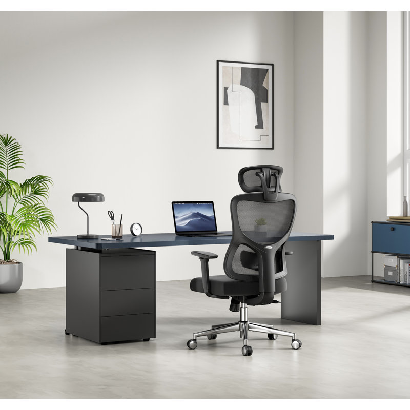 Chaise de bureau ergonomique en filet avec appui-tête réglable, Noir, noir, noir, noir