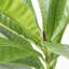 Bleuet artificiel en pot 82,08 po-97944327