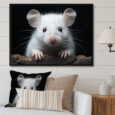 " White Small Rodent Wonders "