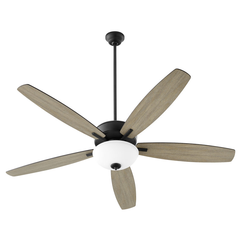 Aramayis 60'' Ceiling Fan with Light Kit, Noir with Matte Black and Weathered Oak Blades