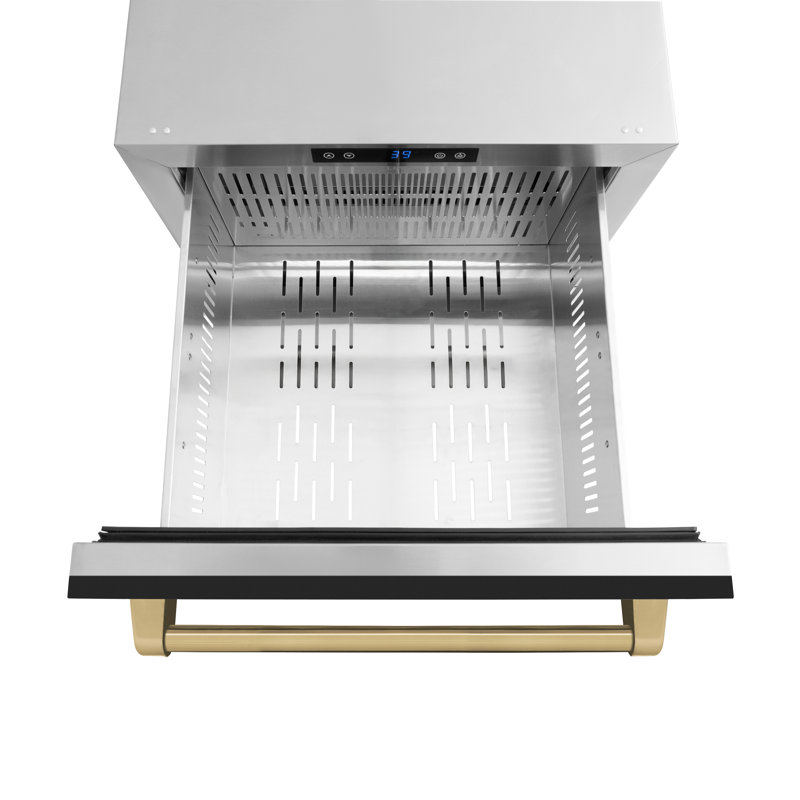 ZLINE Autograph Edition 24 In. Touchstone Refrigerator Drawer in Black Matte and Gold, Black Matte/Champagne Bronze