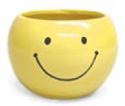 Colabrese Ceramic Pot Planter