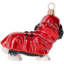 Cavalier King Tri Color in rain coat and hood