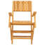 Vendramin Solid Wood Patio Folding Chair Folding Chair Set