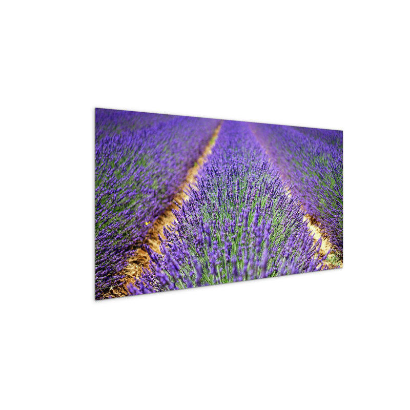 Lavanda by Art Studio 50cm H x 100cm W High Quality Print on Frameless Panel, Lightweight, Ready to Hang, MetalArt Materic