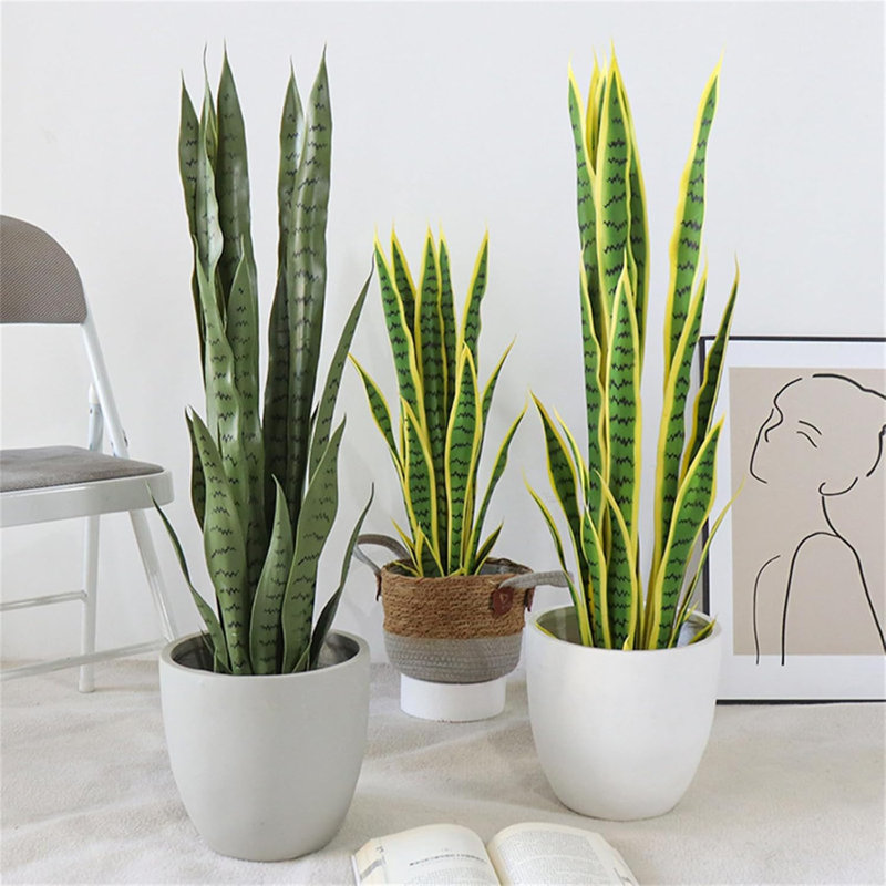 Plant, 27.55cm H x 5.9cm W