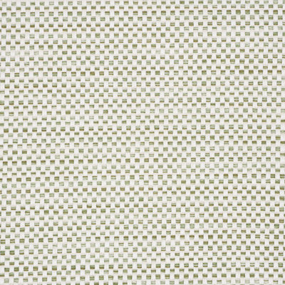 Pacifica Indoor/Outdoor Fabric