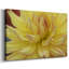 Toile tendue Blooms I-Gallery-852498184