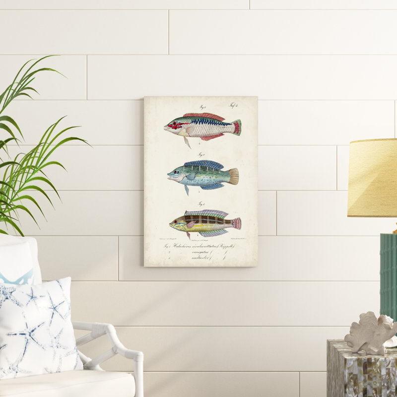 " Antique Fish Trio II ", 30" H x 20" W x 1.25" D