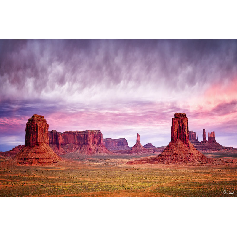 Pink Morning Glory V by David Drost - Wrapped Canvas Print, 20cm H x 30cm W