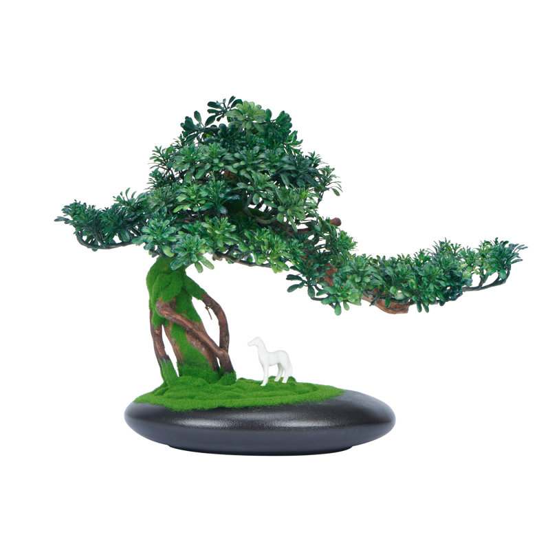 Bonsai en céramique 13,78 "H