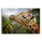 " Giraffe " by SD Smart-2113419974