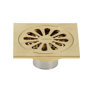 Brushed Brass