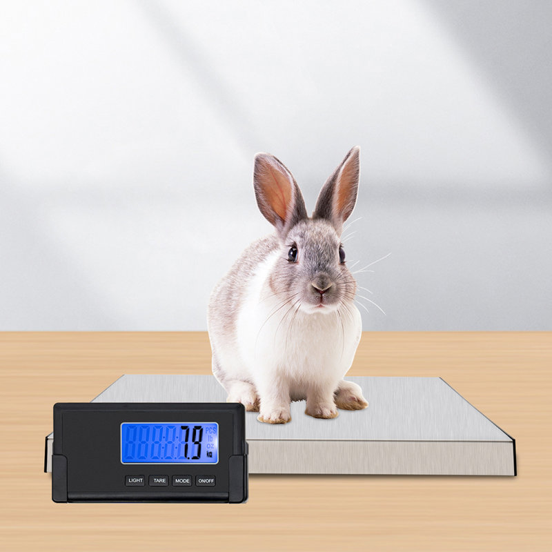 Pèse-personne 396 lb