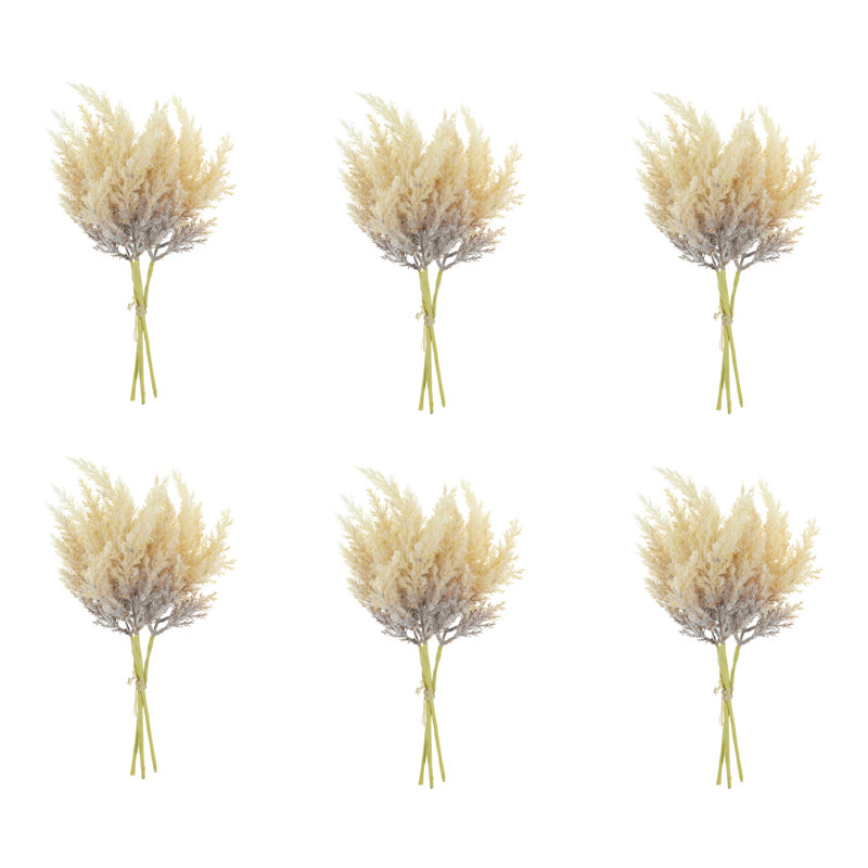 Fausse tige de pampa, Beige