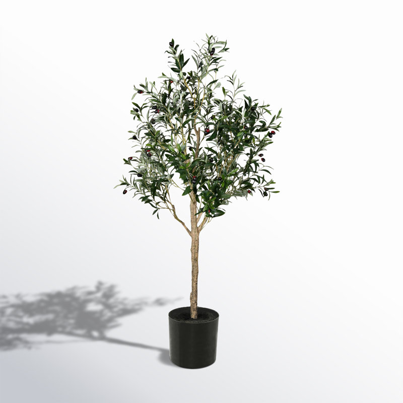 Lush Lifelike Potted Olive Tree with 56 Olives - 63" Height