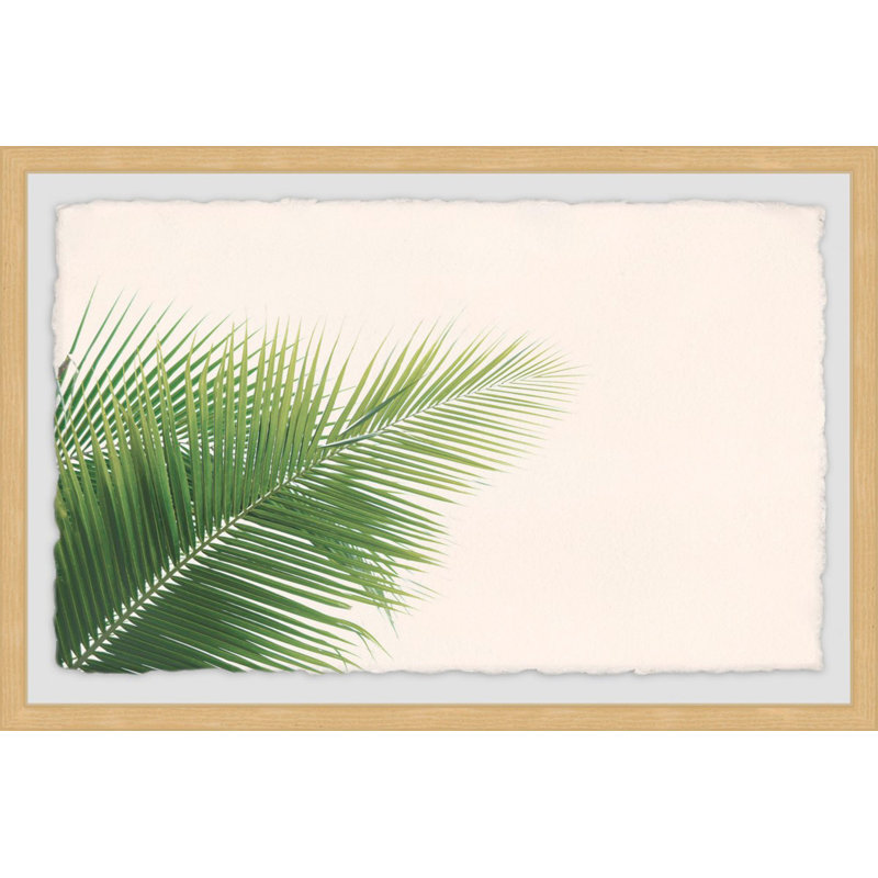 Palm Angles - Single Picture Frame Print, 61 cm H x 91 cm W x 4 cm D