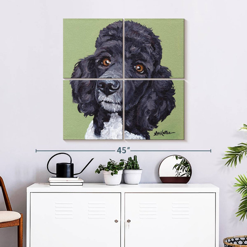 Brampt Standard Poodle Tommy