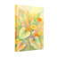 Jardin de plantes et de fleurs avec fleurs jaunes et oranges-867633131