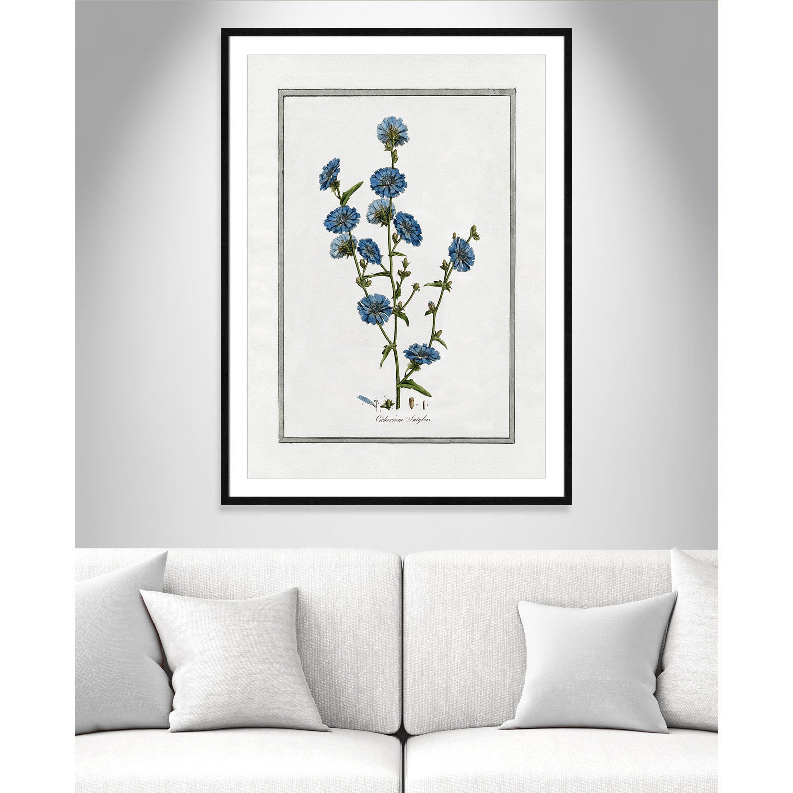 Soft Botanical I - Framed Art Full Bleed, Black Framed, 29.5" W x 41.5" H