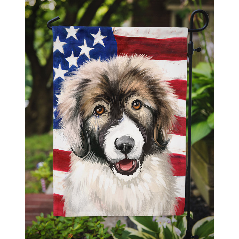 Polyester à 2 côtés 15 x 11 po drapeau de jardin, Cao de Gado Transmontano