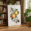 Apple Blossom Study Botanical 1 Piece Wrapped Canvas Wall Art-136782992-136782988