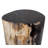 Fossil Relics End Table