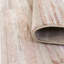 Birl Stripe Pink Area Rug-1083987399