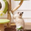 5 Tiers Cat Tree with Condons,Perch,Scratching Posts