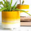 Ceramic Pot Planter-63880958