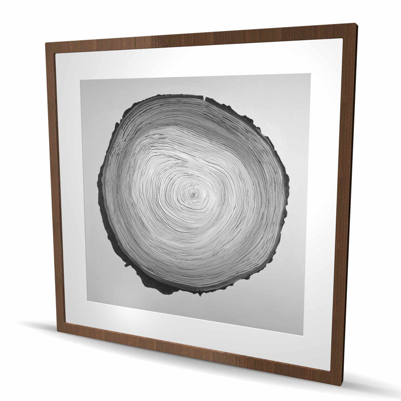 Bûche de bois ronde en niveaux de gris - reproduction encadrée mate pour la décoration, H 36 po x l 36 po, Brun