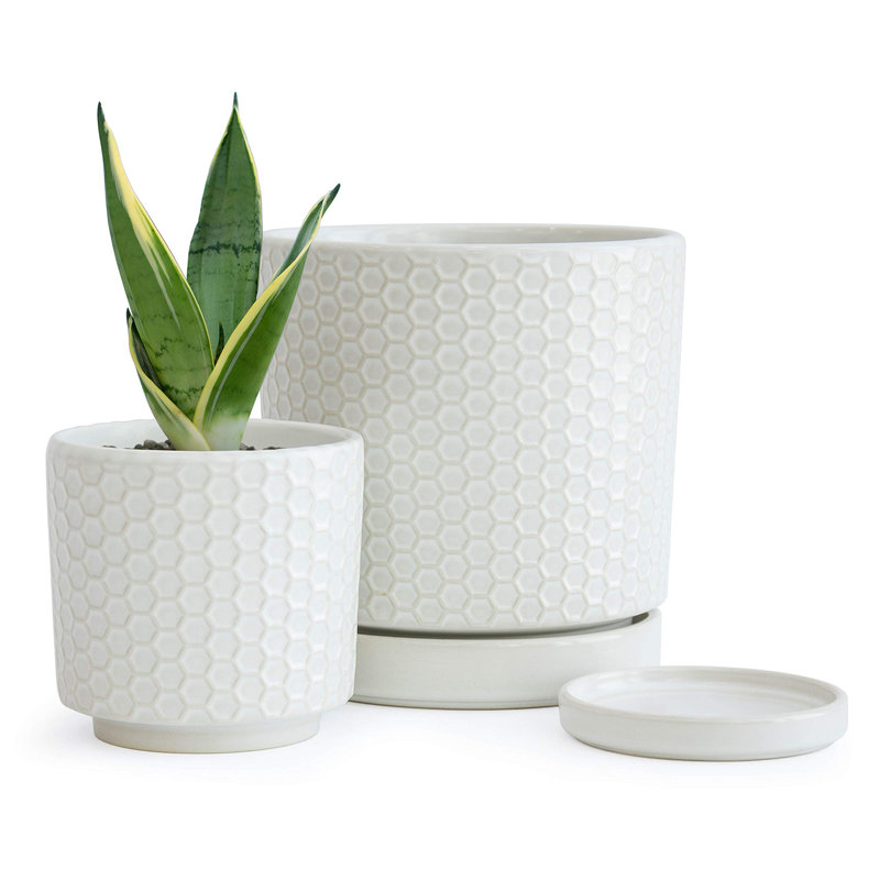 Set of 2 Modern Honeycomb Embossed Ceramic Planter Pots - 4" & 6" with Drainage Hole and Saucer