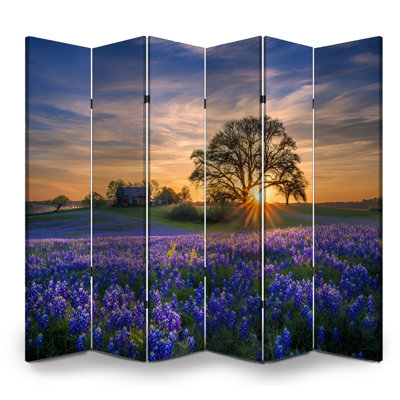 Cloison pliante 6 panneaux paravent Royal Texas