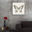 «Beetles and Butterflies 1» par Danhui Nai, art mural en verre acrylique-934670359