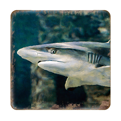 Sous-verre shark