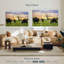 Brampt broutant Aberdeen Angus-106428030