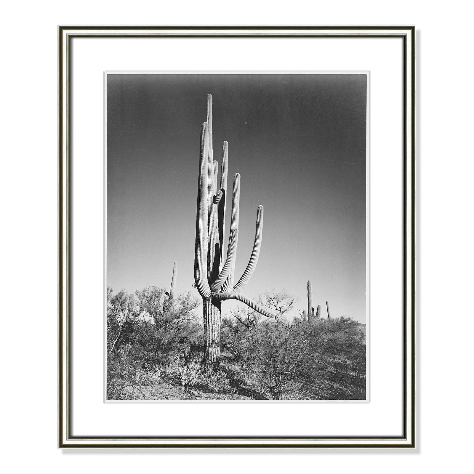 Saguaro National Monument Print by Ansel Adams, 26.75" H x 22.75" W x 0.88" D, Silver