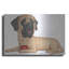 «Mastiff Red Ball» par Danny Gordon-291262797