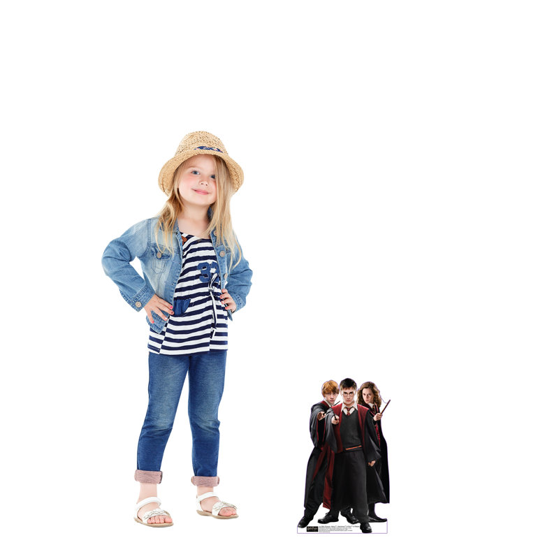 Mini-groupe - Harry, Hermione et Ron dans des robes en carton