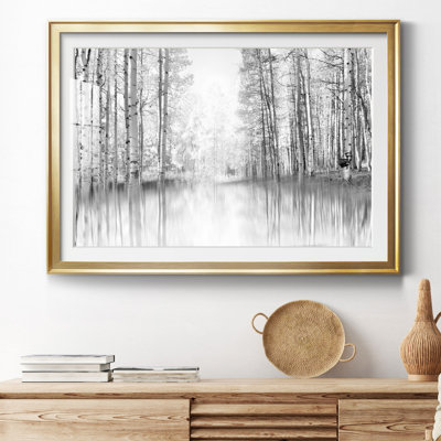 " Aspen Reflection "