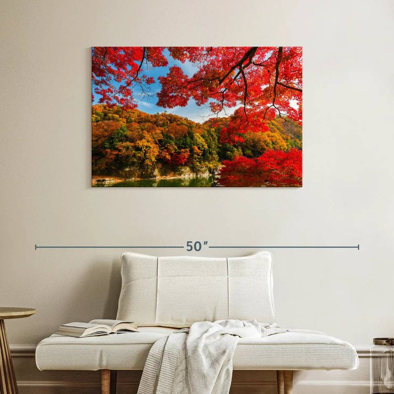 Érable japonais Alvord, H 26 po x l 39 po