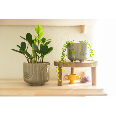 Martha 5" Ceramic Pot Planter