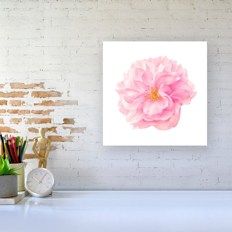 Single Cherry Blossom - Wrapped Canvas Print