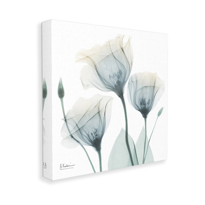 Soft Opaque Tulips Canvas Wall Art Design By Albert Koetsier